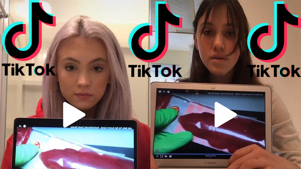 How to Become TikTok Famous in Only One Day - Runforthecube